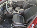 New 2025 Ford Escape ST-Line image 4