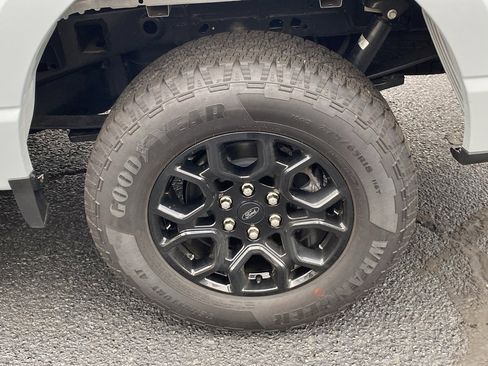 Used 2025 Ford F150 XLT w/ Equipment Group 301A Standard image 23