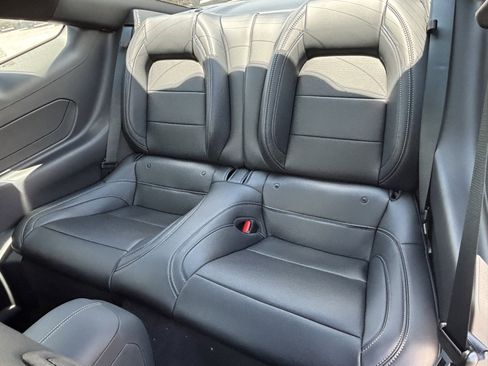 New 2025 Ford Mustang GT Premium w/ Mustang Nite Pony Package image 13