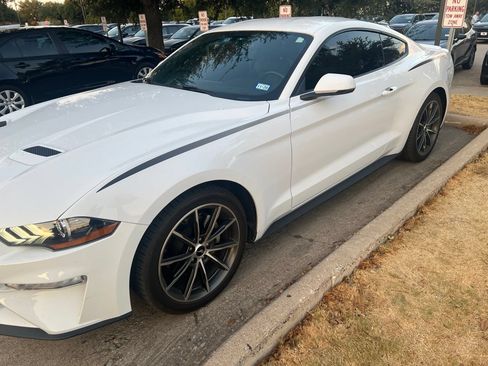 Used 2019 Ford Mustang Premium w/ Wheel & Stripe Package RWD image 2