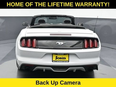 Used 2017 Ford Mustang Premium RWD image 5