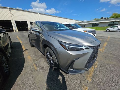 Used 2024 Lexus NX 250 AWD w/ Cold Area Package image 3
