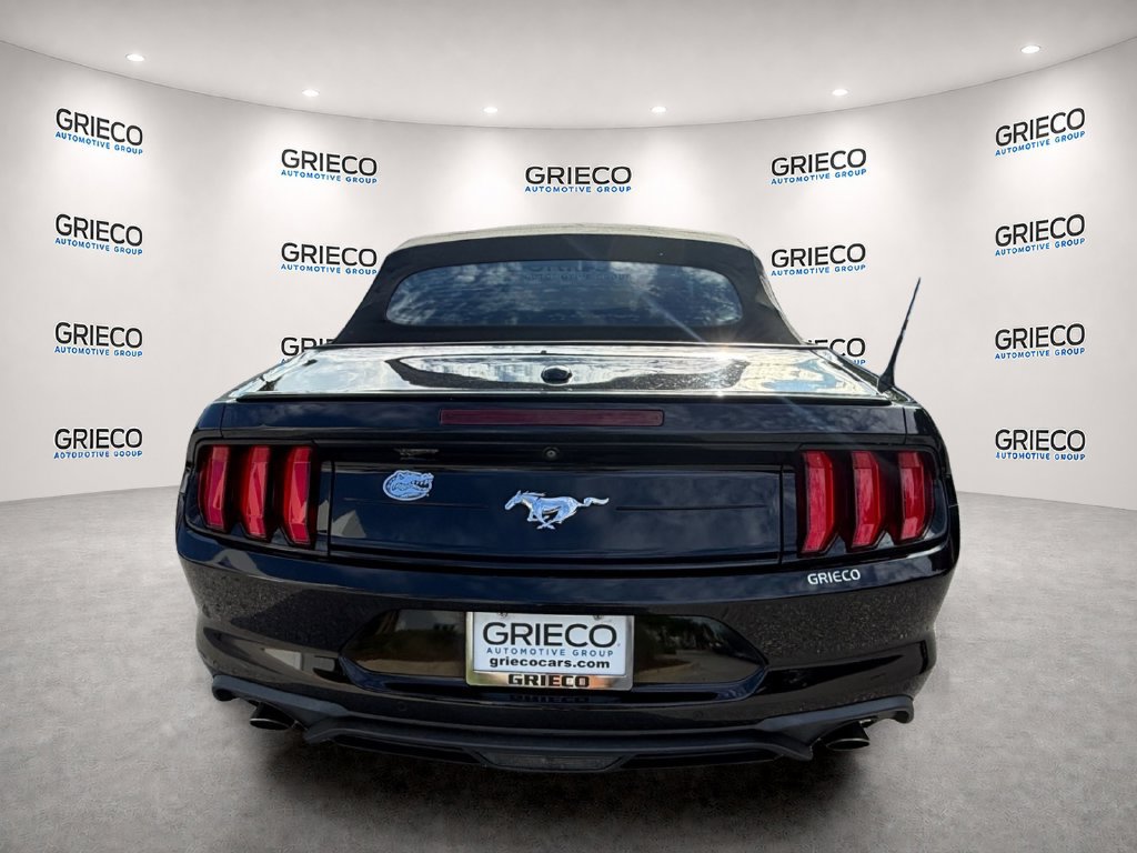 Used 2020 Ford Mustang Premium w/ Equipment Group 201A RWD image 6