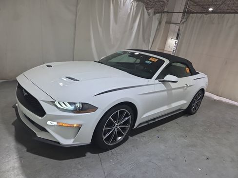 Used 2019 Ford Mustang Premium w/ Equipment Group 201A RWD image 6