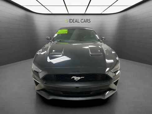 Used 2019 Ford Mustang Convertible w/ Equipment Group 101A RWD image 2