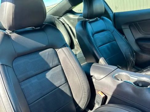 Used 2019 Ford Mustang Premium w/ Equipment Group 201A RWD image 14