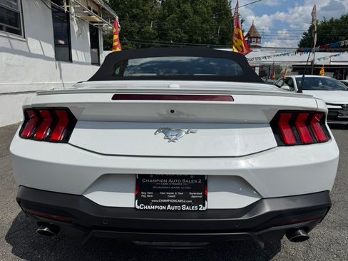 Used 2024 Ford Mustang Premium RWD image 6