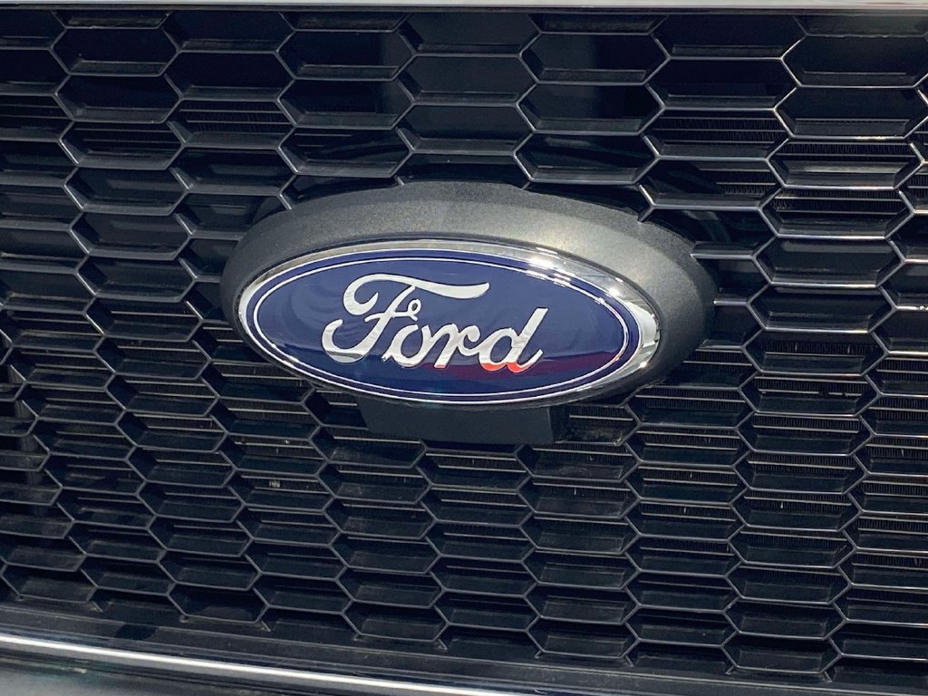 Used 2025 Ford Transit 250 Low Roof w/ Exterior Upgrade Package RWD image 8