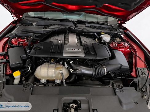 Used 2019 Ford Mustang GT Premium w/ Equipment Group 401A RWD image 13
