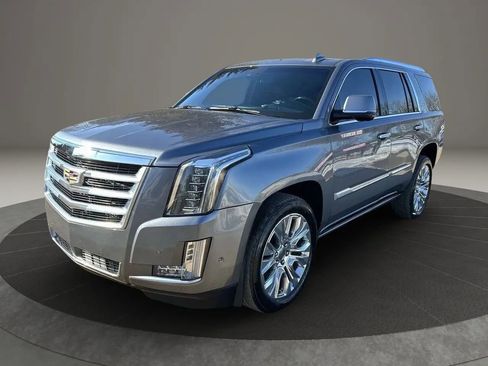 Used 2019 Cadillac Escalade Platinum AWD/4WD image 2