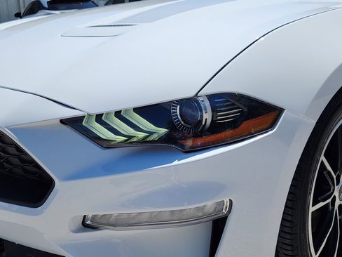 Used 2020 Ford Mustang Premium w/ Equipment Group 201A image 7