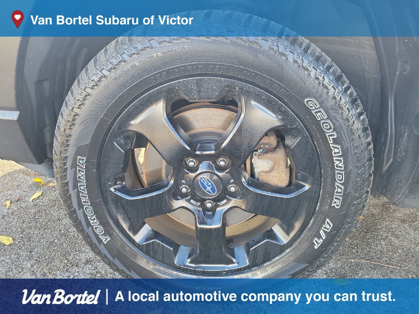 Certified 2023 Subaru Forester Wilderness AWD/4WD image 9