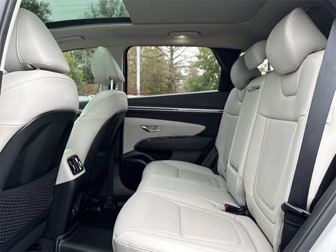 Used 2024 Hyundai Tucson Limited image 14