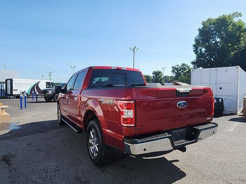 Used 2019 Ford F150 XLT w/ Equipment Group 302A Luxury AWD/4WD image 3