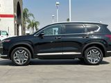 Used 2023 Hyundai Santa Fe Limited image 3