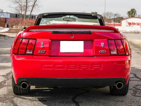 Used 1999 Ford Mustang Cobra image 7