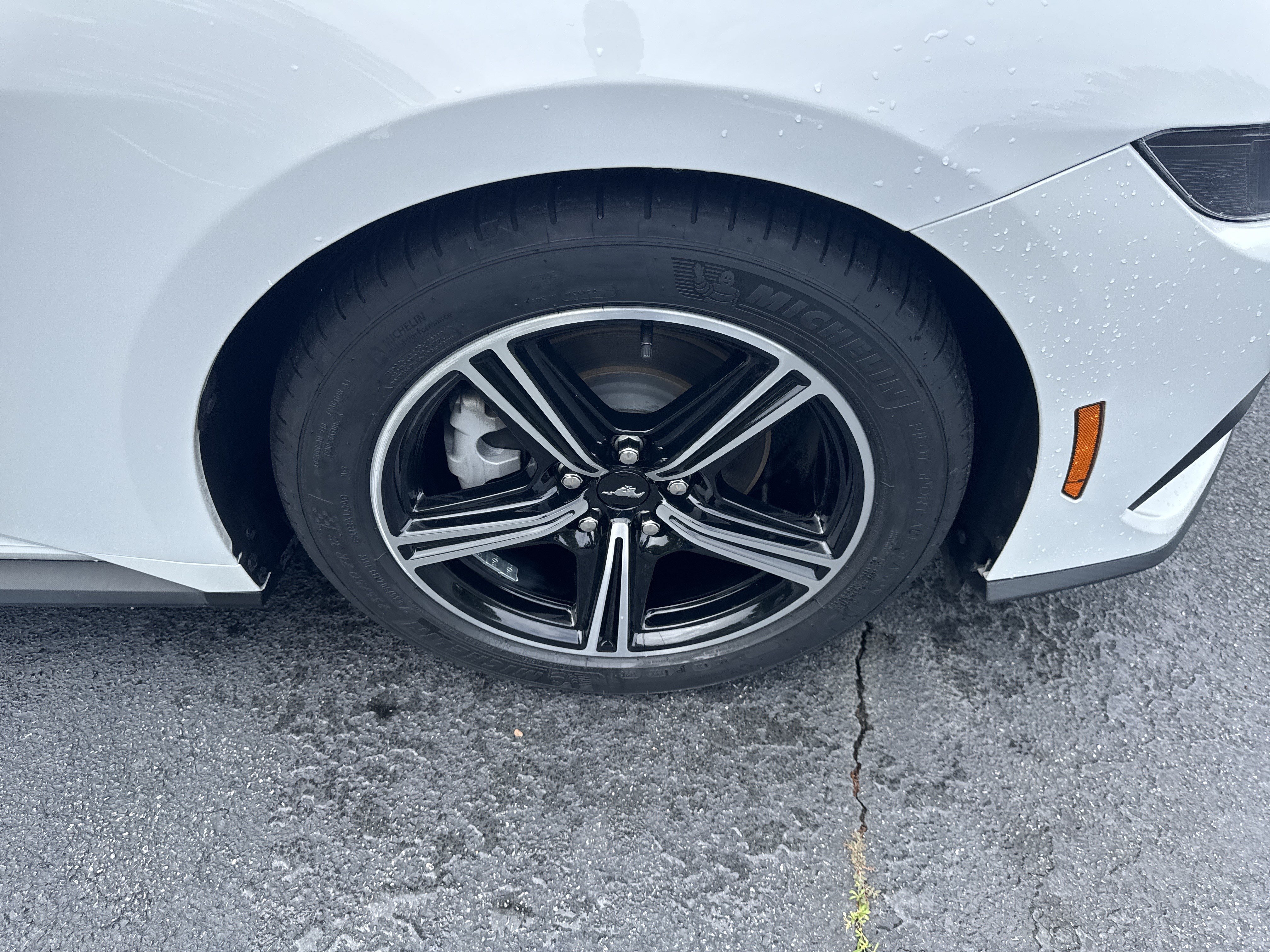 Used 2025 Ford Mustang Premium RWD image 18