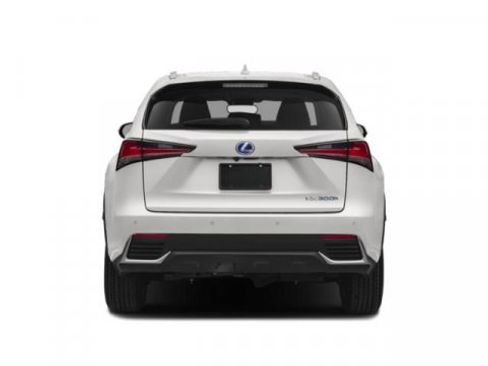 Used 2019 Lexus NX 300h AWD w/ Premium Package image 5