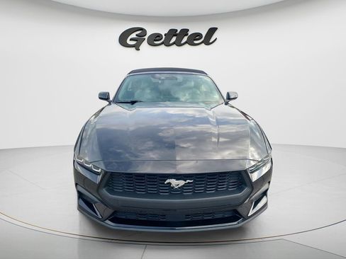 Used 2024 Ford Mustang Premium RWD image 2