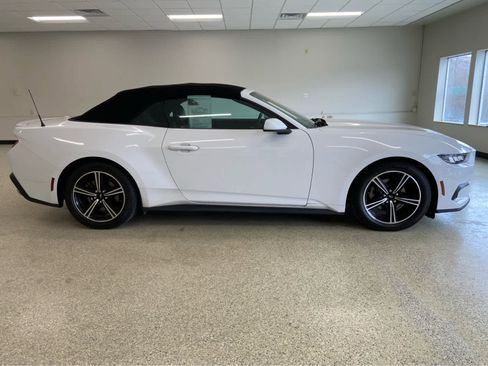 Used 2024 Ford Mustang Premium image 5