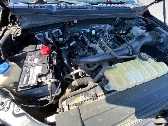 Used 2019 Ford F150 XLT w/ XTR Package AWD/4WD image 29