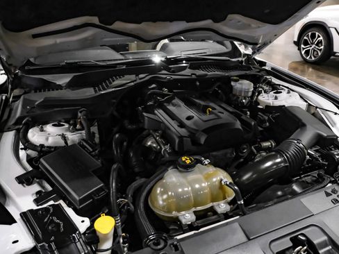 Used 2019 Ford Mustang Premium w/ Pony Package RWD image 41