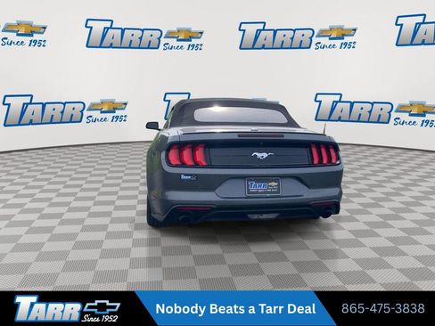 Used 2022 Ford Mustang Premium RWD image 7