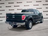 Used 2014 Ford F150 XLT w/ Equipment Group 302A Luxury image 5