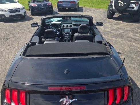 Used 2018 Ford Mustang Premium w/ Equipment Group 201A RWD image 22