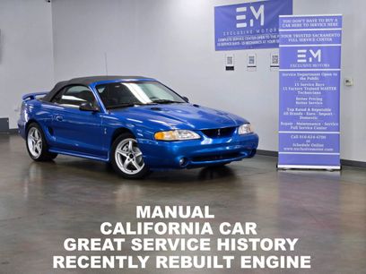 Used 1998 Ford Mustang Cobra
