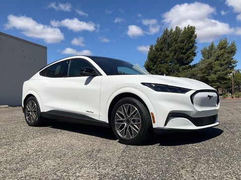 New 2025 Ford Mustang Mach-E Premium w/ Interior Protection Package image 59