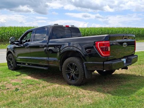 Used 2023 Ford F150 XLT w/ Equipment Group 302A High AWD/4WD image 4