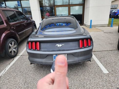 Used 2017 Ford Mustang Premium w/ Equipment Group 201A image 4