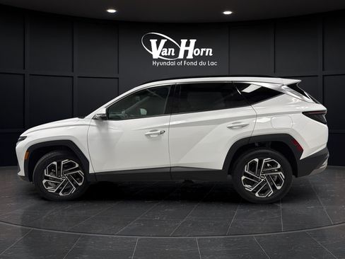 Used 2025 Hyundai Tucson Limited AWD/4WD image 4