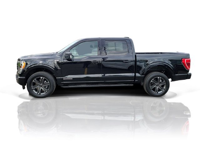 Certified 2023 Ford F150 XLT w/ Equipment Group 302A High AWD/4WD image 4