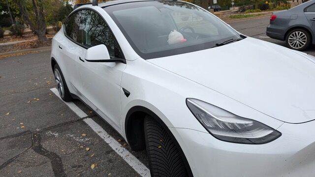 Used 2020 Tesla Model Y Long Range AWD/4WD image 2