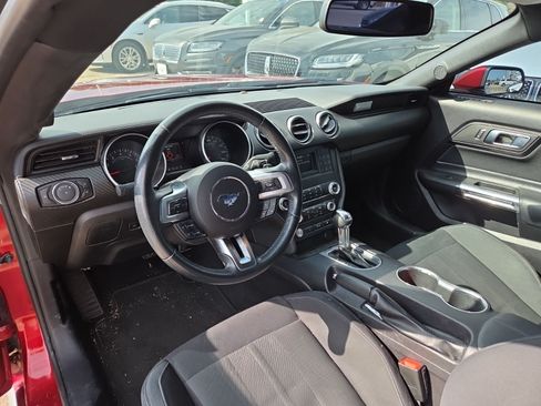 Used 2019 Ford Mustang Coupe w/ Wheel & Stripe Package RWD image 3