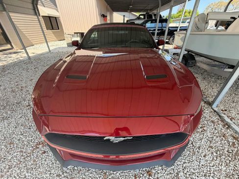 Used 2018 Ford Mustang Convertible w/ Equipment Group 101A image 7