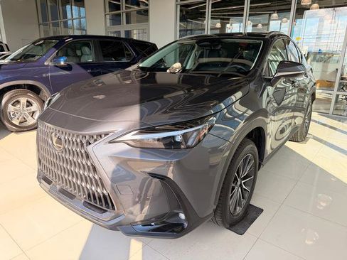 Used 2024 Lexus NX 350 AWD w/ Cold Area Package image 2