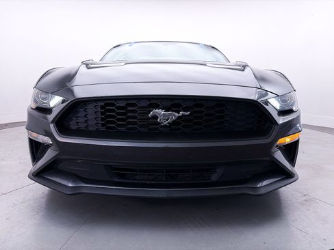 Used 2019 Ford Mustang Coupe w/ Equipment Group 101A RWD image 2