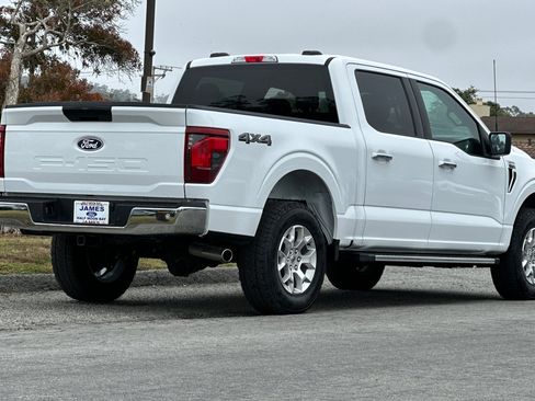Used 2025 Ford F150 XLT w/ Equipment Group 301A Standard AWD/4WD image 5