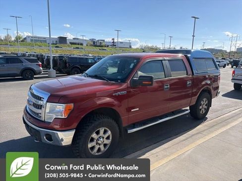Used 2014 Ford F150 XLT w/ Equipment Group 302A Luxury AWD/4WD image 3