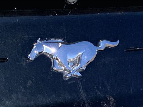 Used 2019 Ford Mustang Premium image 31