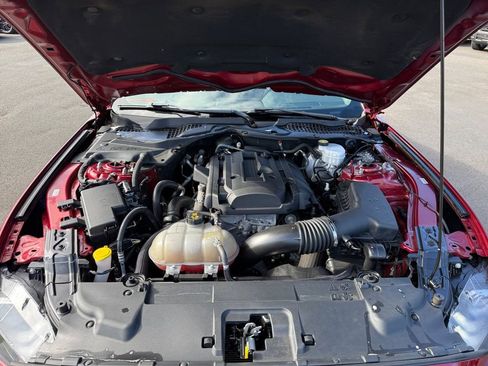 Used 2019 Ford Mustang Coupe w/ Equipment Group 101A image 20