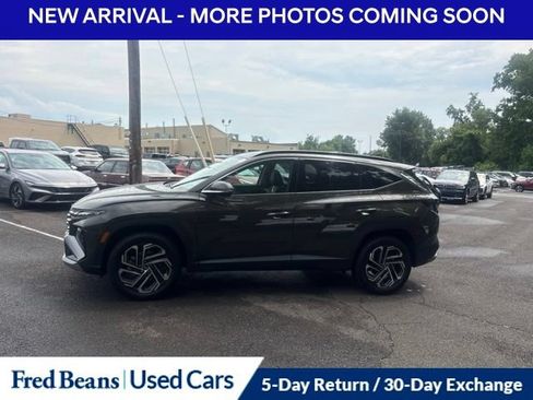 Used 2025 Hyundai Tucson Limited AWD/4WD image 6