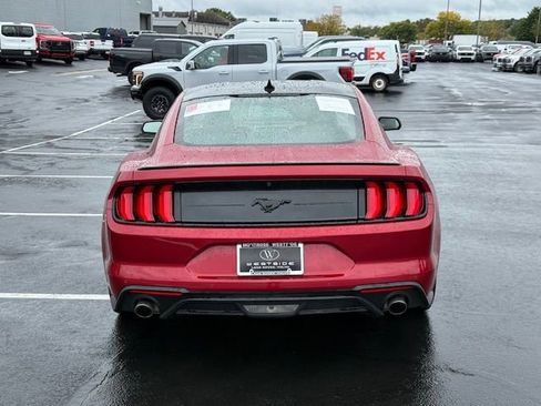 Certified 2023 Ford Mustang EcoBoost w/ Equipment Group 101A image 4