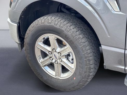 Used 2025 Ford F150 XLT w/ Equipment Group 301A Standard AWD/4WD image 5