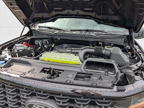 New 2025 Ford F150 STX w/ STX Black Appearance Package image 16