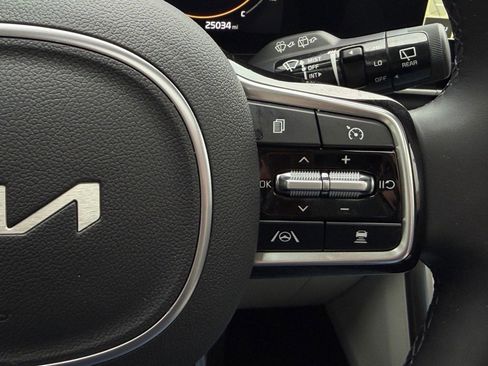 Used 2024 Kia Carnival SX Prestige image 19