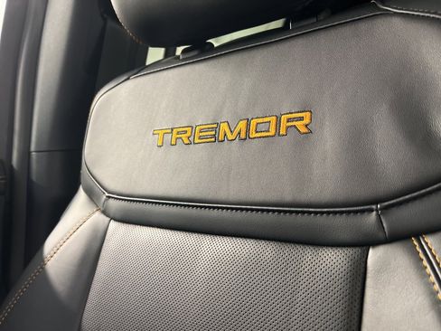 New 2025 Ford Expedition Tremor image 19